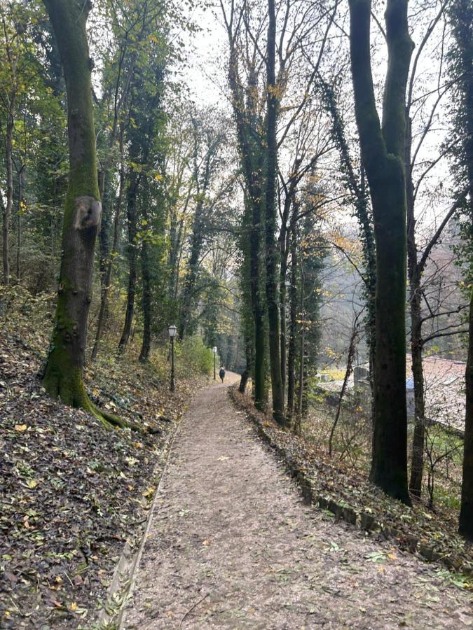 Historic Center-Lovely Nature Zagrzeb Zewnętrze zdjęcie