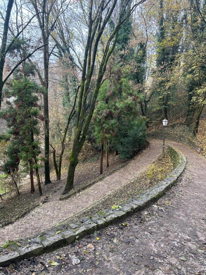 Historic Center-Lovely Nature Zagrzeb Zewnętrze zdjęcie